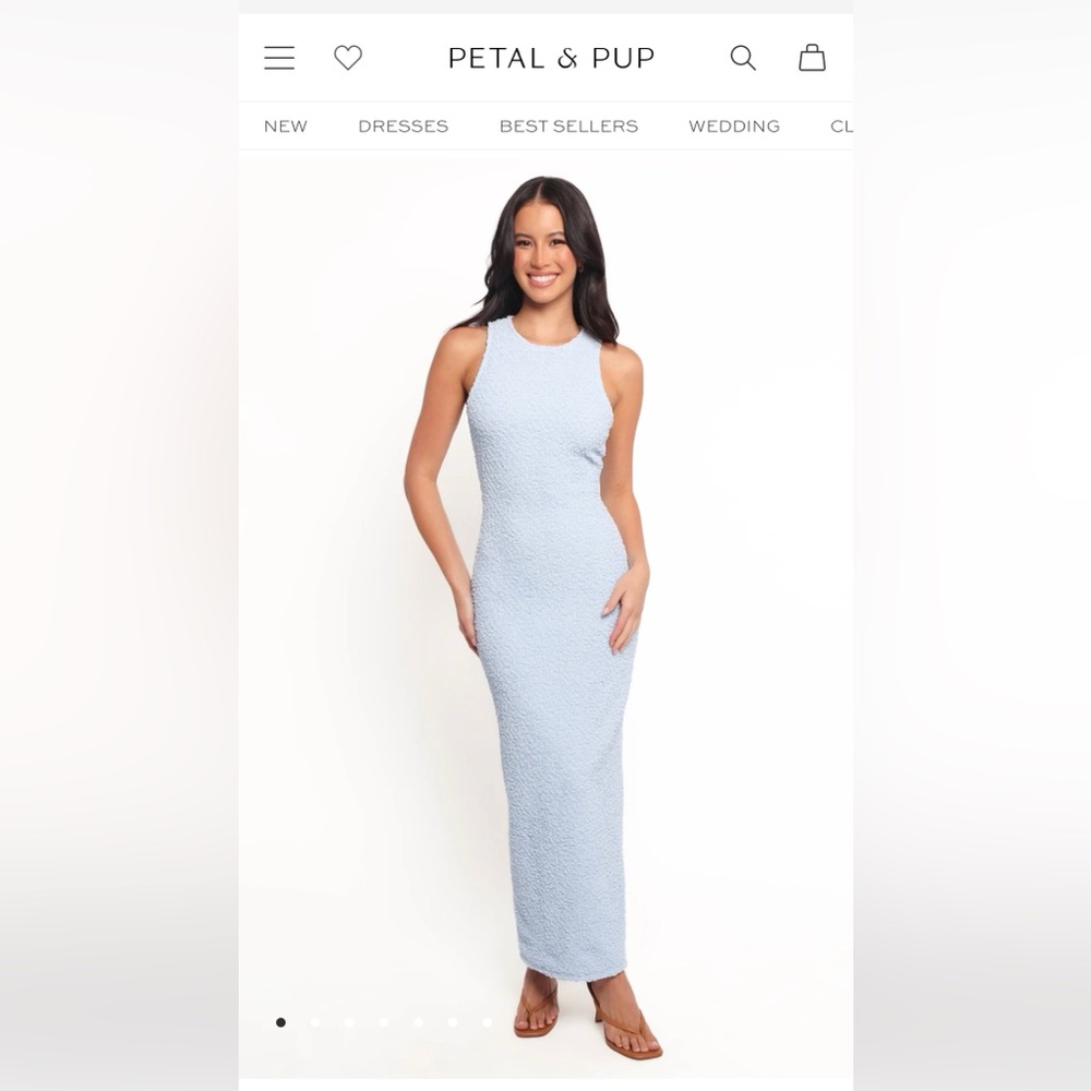 Petal & Pup Light Blue Maxi Dress